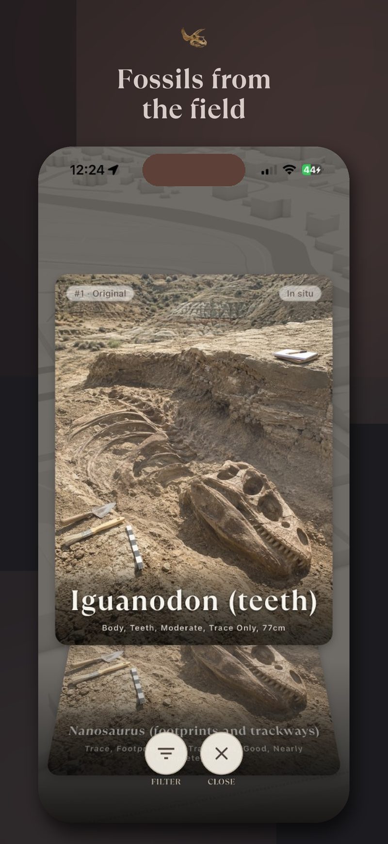 Mesozoica Iguanodon fossil