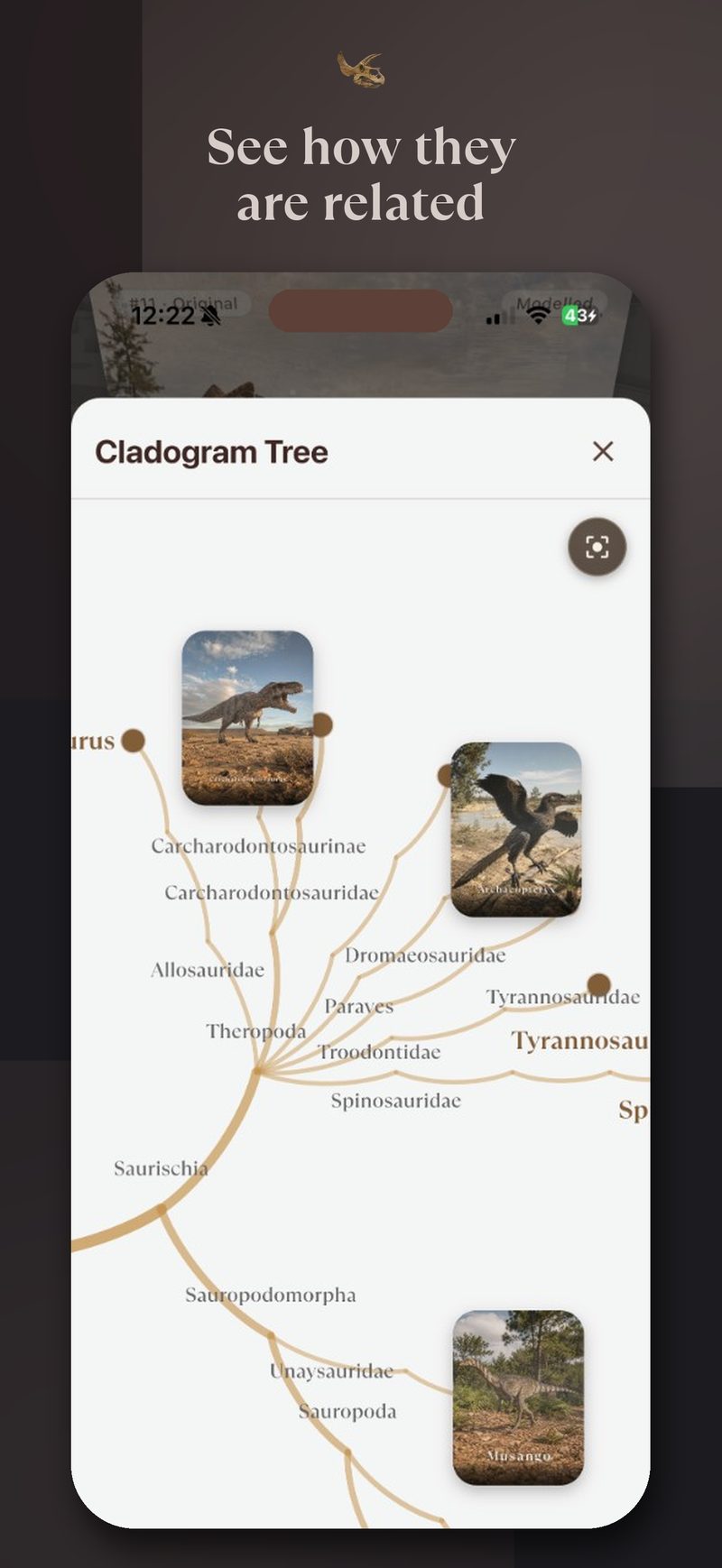 Mesozoica cladogram tree