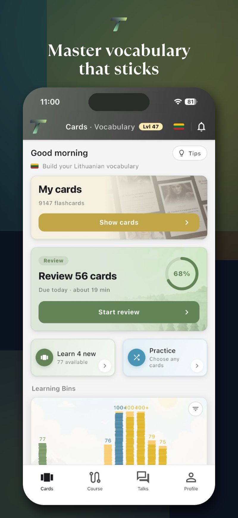Talivo vocabulary cards