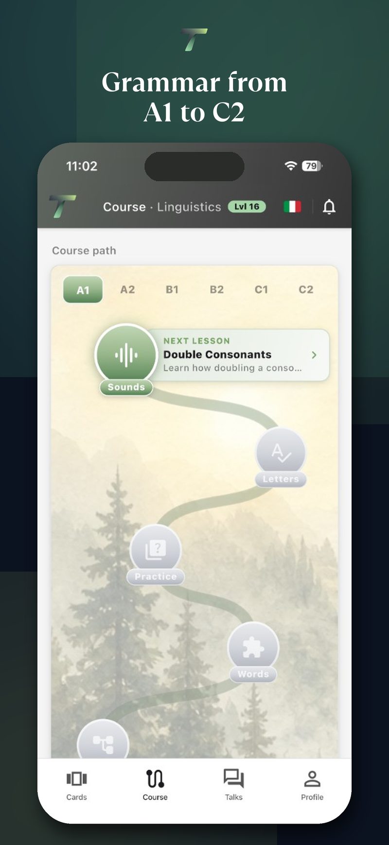 Talivo linguistics course